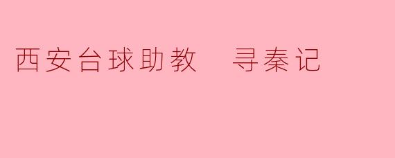 西安台球助教 寻秦记